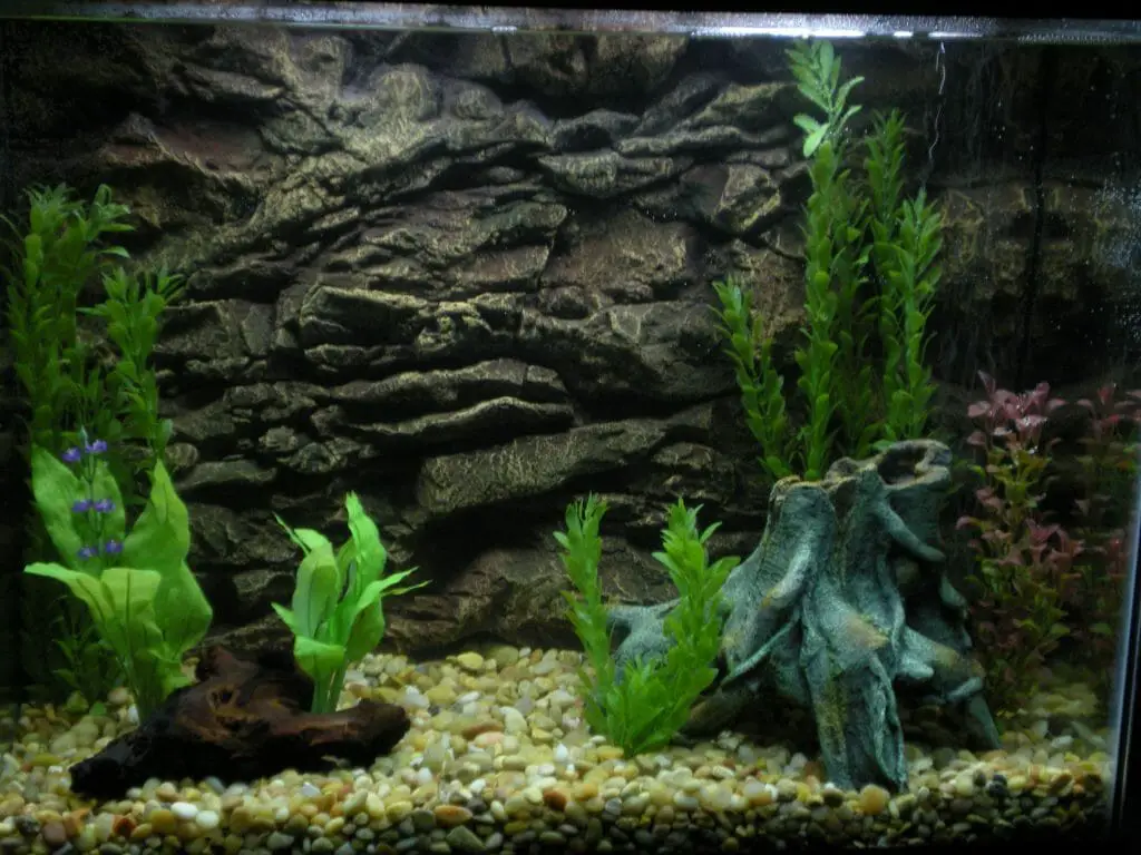 How To Apply Vinyl Aquarium Background Step By Step Hometanks