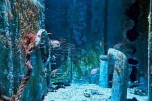 Shipwreck Aquarium Ideas: Adding Shipwreck to Upgrade Your Aquarium ...